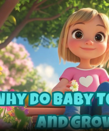 Why Do Baby Teeth Fall Out and Grow Back